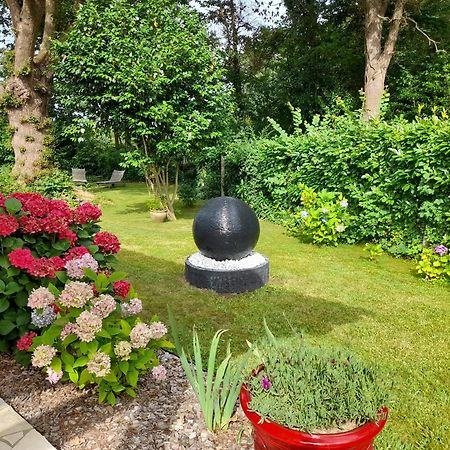 Bed and Breakfast La Clairiere Du Seignanx Saint-Martin-de-Seignanx Exterior foto