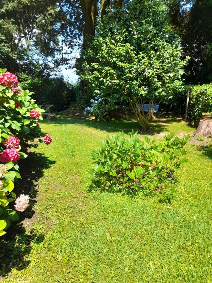 Bed and Breakfast La Clairiere Du Seignanx Saint-Martin-de-Seignanx Exterior foto