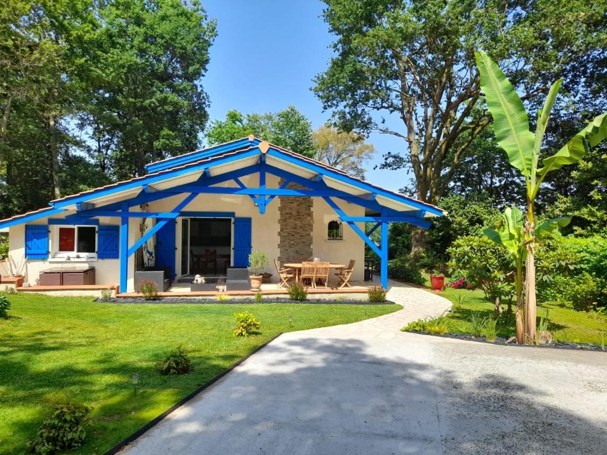 Bed and Breakfast La Clairiere Du Seignanx Saint-Martin-de-Seignanx Exterior foto