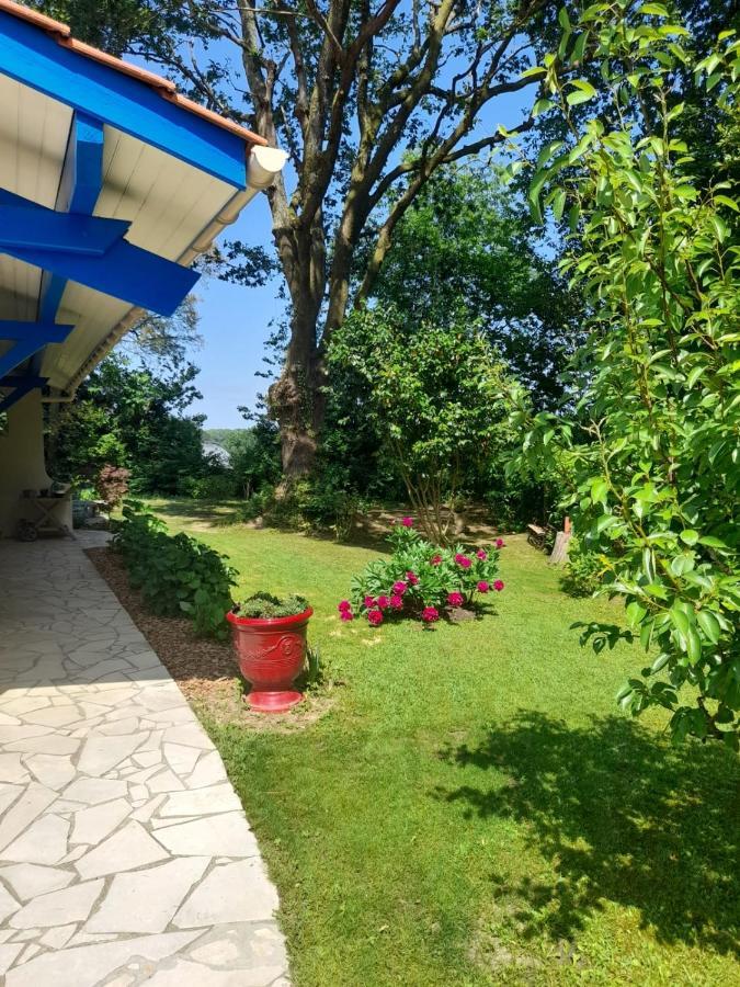 Bed and Breakfast La Clairiere Du Seignanx Saint-Martin-de-Seignanx Exterior foto