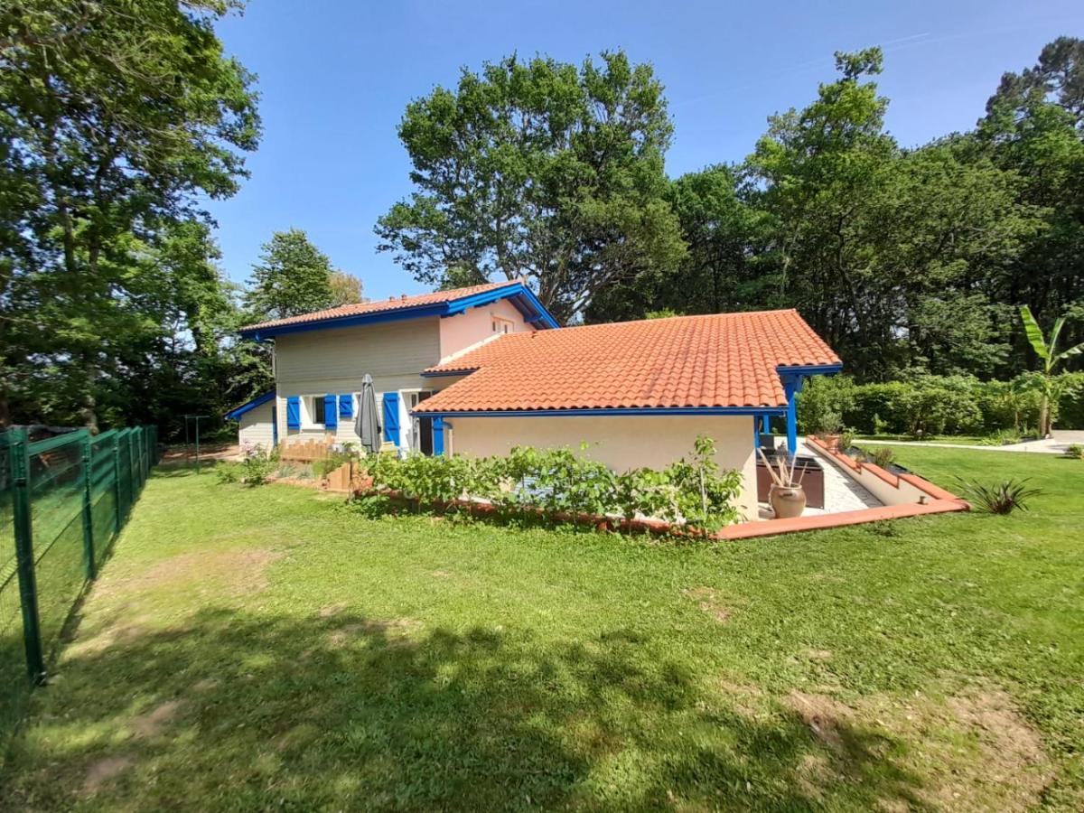 Bed and Breakfast La Clairiere Du Seignanx Saint-Martin-de-Seignanx Exterior foto