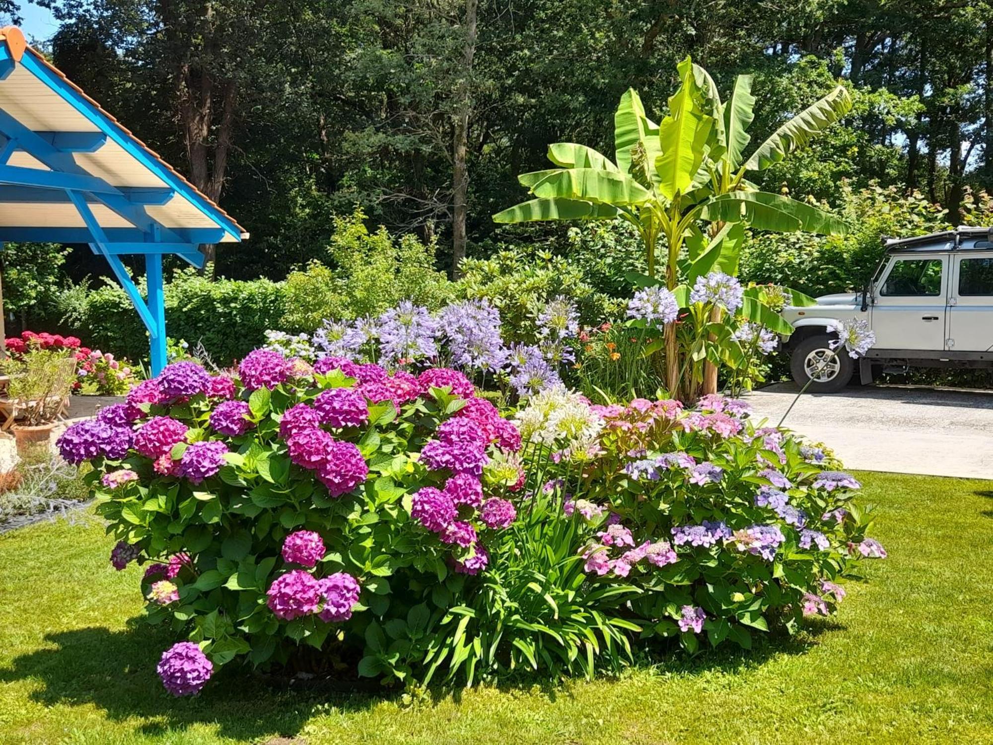 Bed and Breakfast La Clairiere Du Seignanx Saint-Martin-de-Seignanx Exterior foto