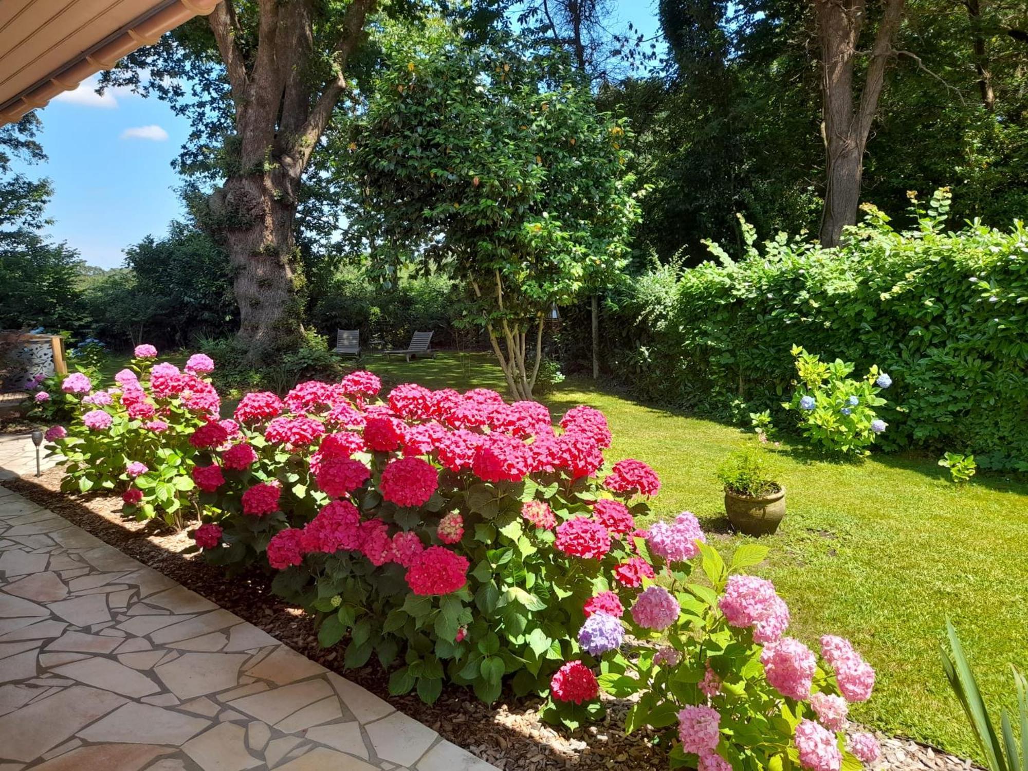 Bed and Breakfast La Clairiere Du Seignanx Saint-Martin-de-Seignanx Exterior foto