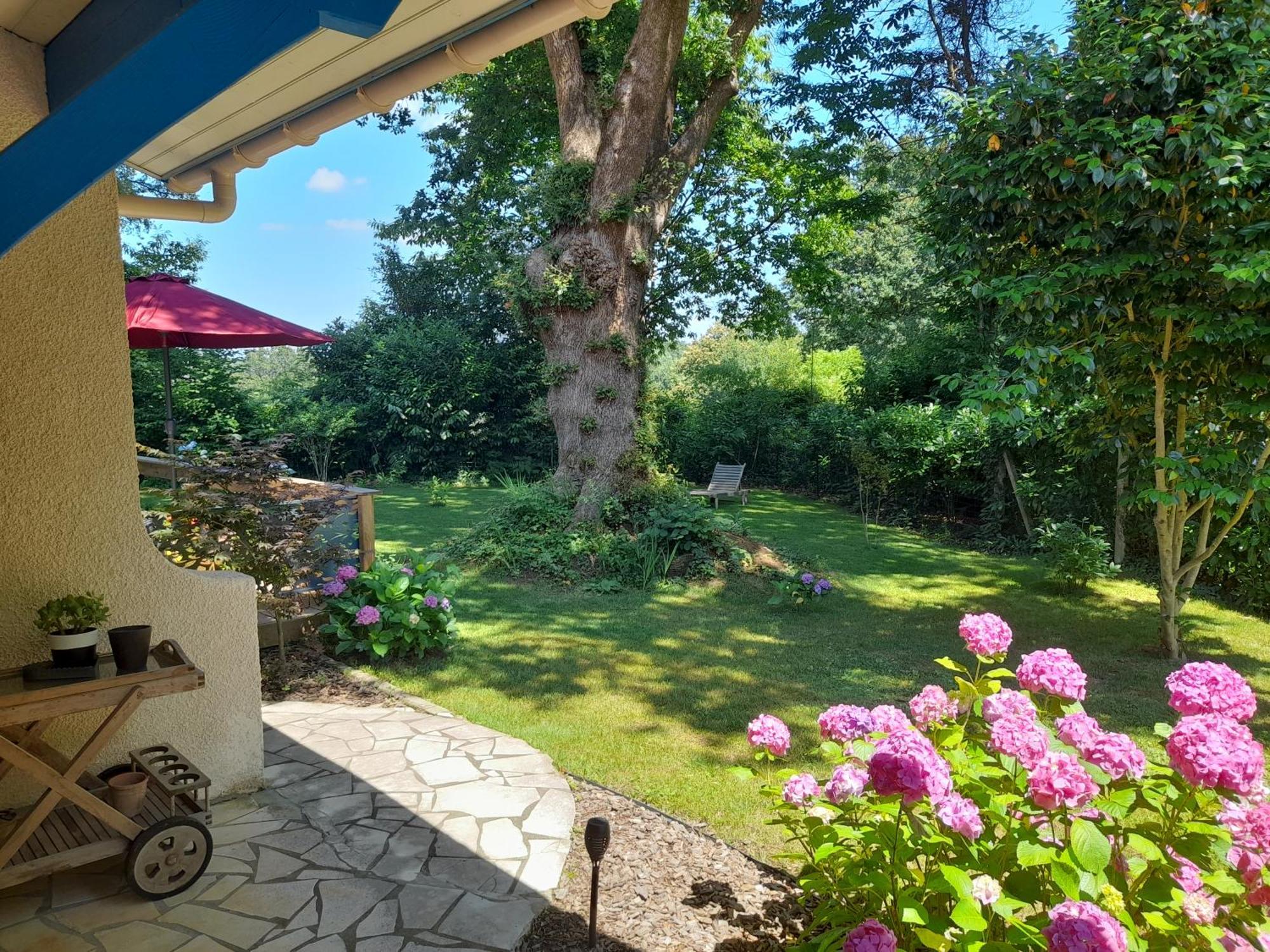 Bed and Breakfast La Clairiere Du Seignanx Saint-Martin-de-Seignanx Exterior foto